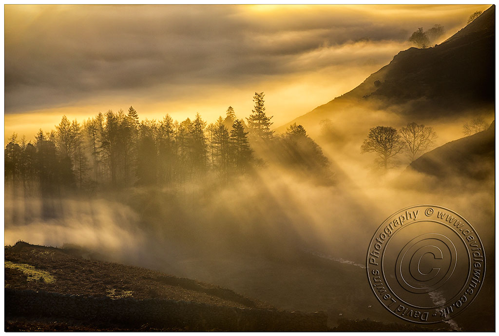 Misty Sunrise Helmside, Cumbria